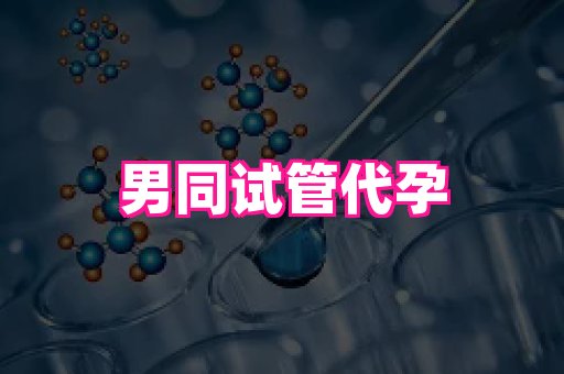 北京助孕网 2