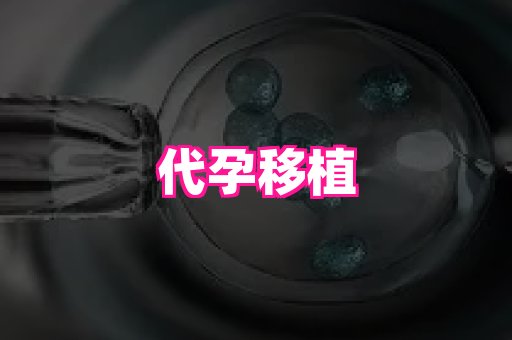 北京助孕网 4